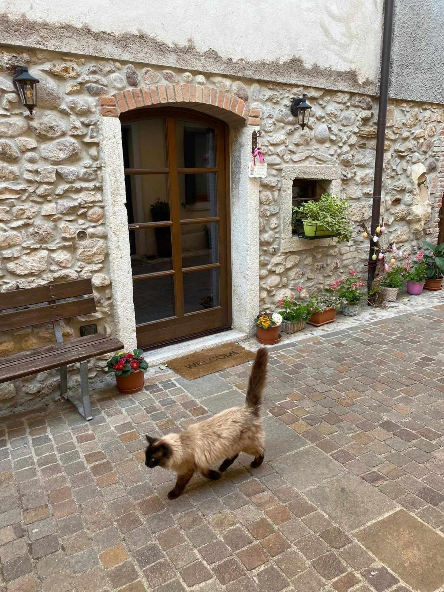 Dimora Belvedere Rustico Vista Lago Wifi Costermano Eksteriør billede